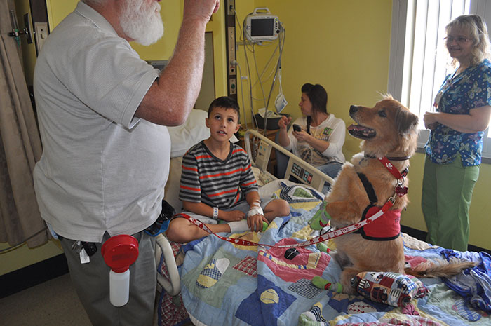 service dog with a patient